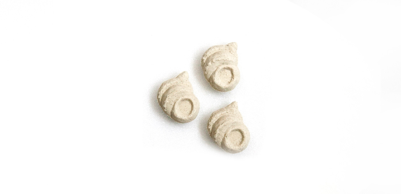 Fossil Seashell Wasanbon sugar